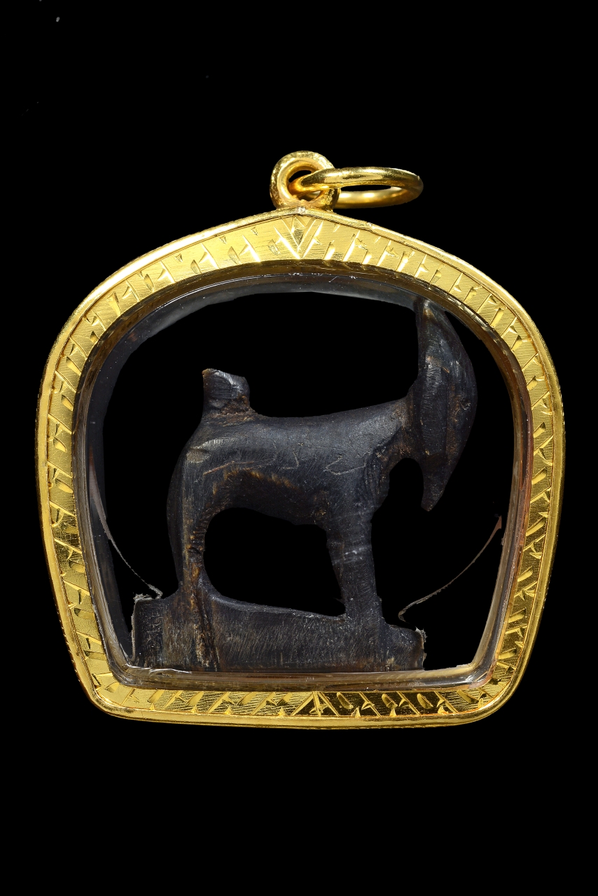 1766049462360_0.JPG - แพะหลวงพ่ออ่ำ | https://soonpraratchada.com